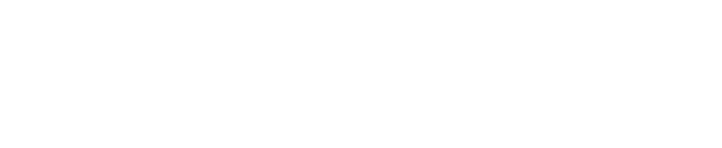 neolith logo