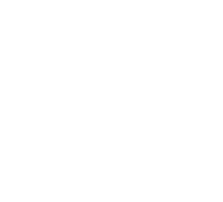 stoneambassador logo